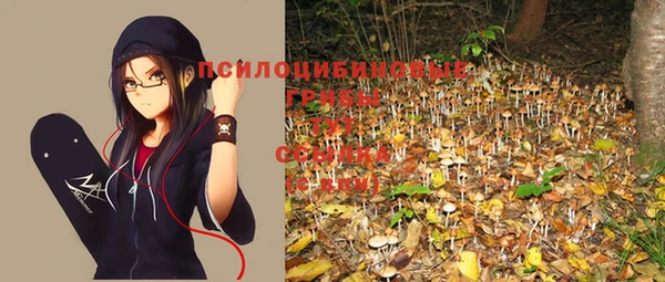 гашиш Коряжма