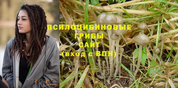 эйфоретик Костерёво